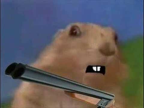 Chipmunk with Laptop