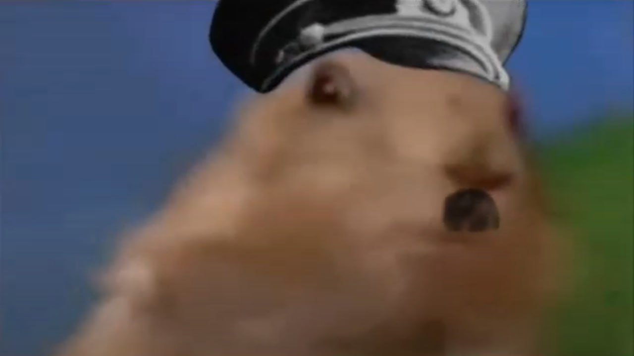 Dramatic Chipmunk with Cap