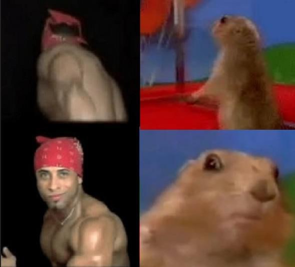 Chipmunk Meme Compilation