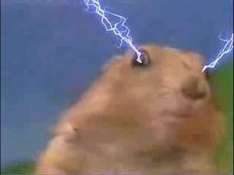 Lightning Eyes Chipmunk